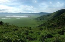 Ngorongoro National Park and Game Drive: Guided Day Tour from Arusha