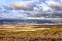 Ngorongoro National Park and Game Drive: Guided Day Tour from Arusha