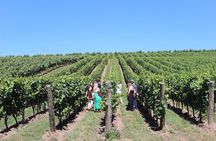 Sussex Vineyard & Winery Bus Tour on Iconic Vintage London Bus