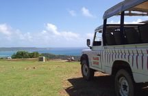 Island Safari Discovery