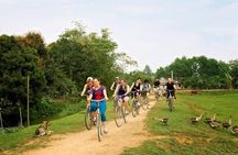 Ninh Binh - Bai Dinh - Trang An full day trip from Hanoi with luxury transfers