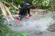 Combination ATV QUAD Bike Ride & Jungle Swing with Complimentary Lunch