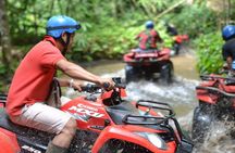 Combination ATV QUAD Bike Ride & Jungle Swing with Complimentary Lunch