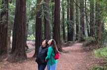 Redwoods of Marin and Mt. Tamalpais Walking Tour with Local Guide