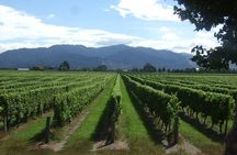 Blenheim Half day Wine Tour