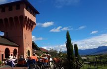 Full-Day Taste the Wines of Marlborough Tour