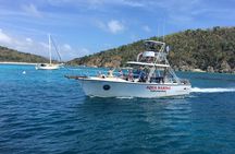 Afternoon Snorkeling Adventure in St Thomas