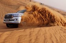 Desert Safari Red Dunes – Premium Camp with Camel Ride & Falcon