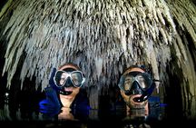 Half-Day Underwater World Tour