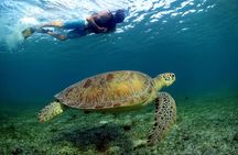 Half-Day Underwater World Tour