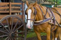 Fiesta Gaucha and Day Ranch in Santa Susana Ranch