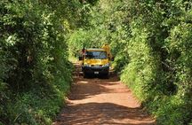 Iguazu Falls Tour, Boat Ride, Train, Safari Truck