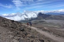 Cotopaxi Volcano: Biking Small Group Full Day Tour