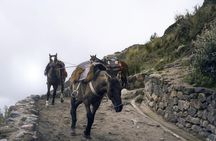Private Quilotoa Lagoon and Toachi Canyon Including Local Family Visit