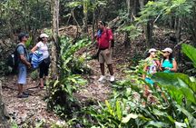 Jungle Jeep Adventure to Mayan Caves, Cenote and Snorkel