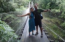 Morning Volcano Hike and Mistico Hanging Bridges
