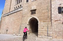 Rovinj private biking tour by electric powered bike