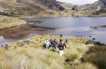 Cajas National Park Half Day Tour from Cuenca