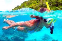 Full-Day Trip to Koh Tao and Koh Nang Yuan from Koh Samui by Speedboat