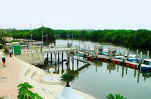 Dolphin Watching Experience in Puerto El Morro from Guayaquil