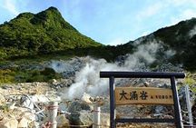 Tokyo: Hakone Fuji Day Tour w/ Cruise, Cable Car, Volcano
