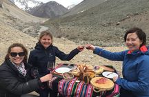 Private Tour: Andes Mountains with Wine Tasting from Santiago