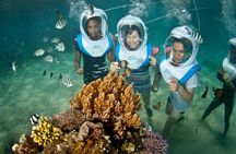 Aquanauts sea walk in Lembongan