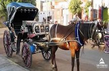Luxor City Tour By Horse Carriage in Egypt