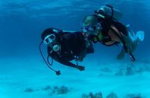 Day Scuba diving trip from Hurghada