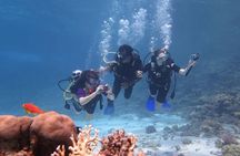 Day Scuba diving trip from Hurghada