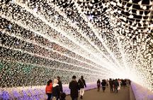 Mt. Gozaisho Ropeway,Nabana no Sato for Illumination and Begonia Garden!