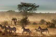 6 Days Tanzania Budget Camping Safari