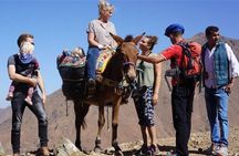 Atlas Mountains Day Tour with Camel Ride 