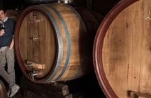 Organic Wine Tasting & Lunch Experience on Mt Vesuvius
