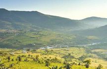 Swaziland Day Tour