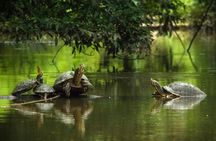 3-Days Tortuguero National Park Eco Adventure Tour