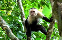 Manuel Antonio National Park Tour From San Jose.