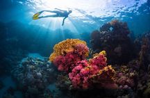 Try Freediving on Nusa Penida