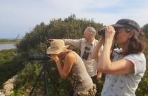 Vendicari - Sicily's best coast nature reserve ( Birdwatching & Archeology )