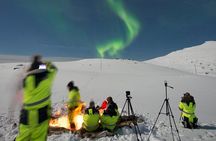 Small group Aurora Chases - When the Sky becomes Magic