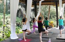 Bali Ubud Yoga Class