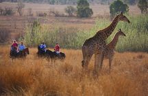 Horseback Safari Tour