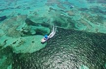 Punta Cana Adults-Only Snorkel tour with Premium Seafood Lunch