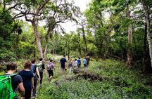 2 Nights Chitwan Luxury Tour from Kathmandu or Pokhara