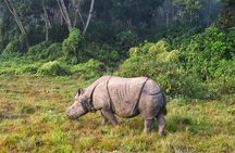 2 Nights Chitwan Luxury Tour from Kathmandu or Pokhara