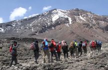 7 Days Kilimanjaro Climb Machame Route