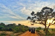 Pick up Hambantota Cruise Ship: Udawalawe National Park Safari