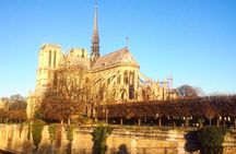 Fat Cat Early Access Notre-Dame Tour | Limited to 5 Guests