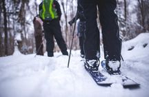 Skiing (Hok Ski) Excursion in Jacques-Cartier National Park