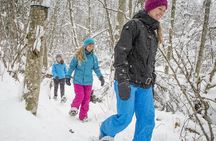 Snowshoeing Tour in Jacques-Cartier National Park